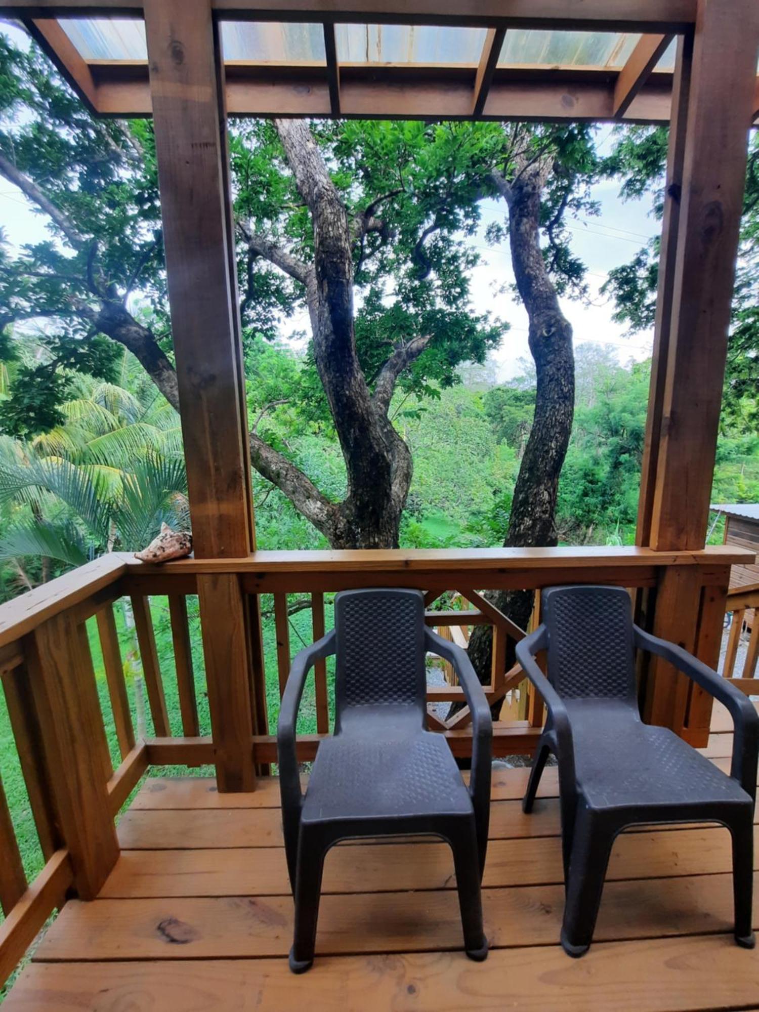 Guava Grove Resort & Villas Sandy Bay Εξωτερικό φωτογραφία