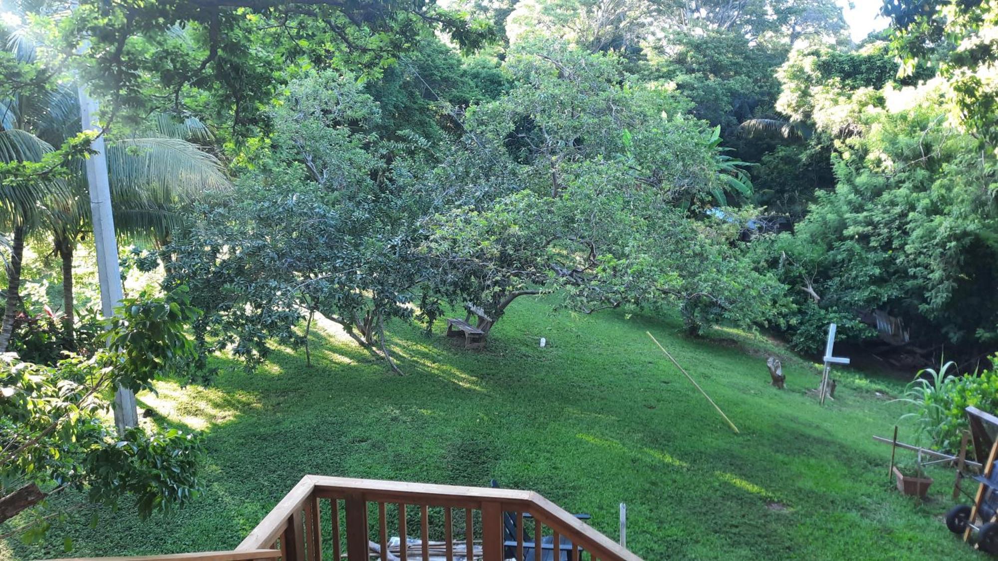 Guava Grove Resort & Villas Sandy Bay Εξωτερικό φωτογραφία